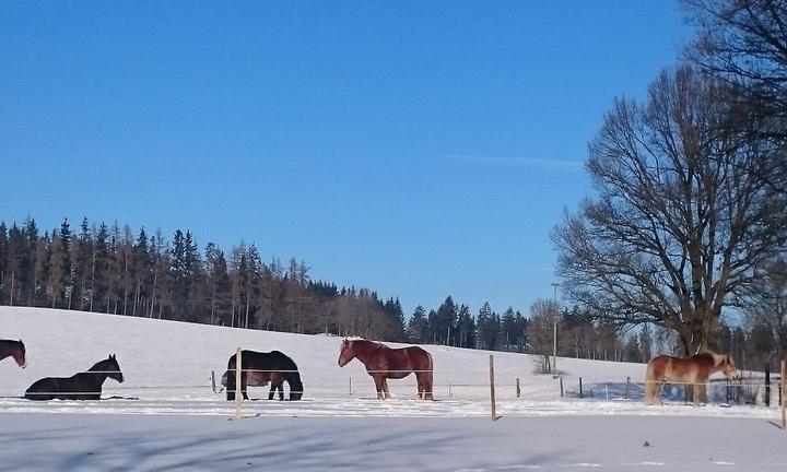 Landgasthof Kett